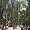 DSCF0900.JPG