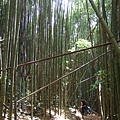 DSCF0901.JPG