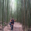DSCF0902.JPG