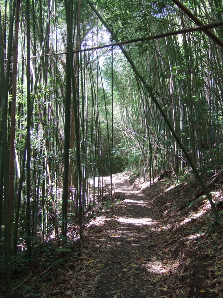 DSCF0906.JPG