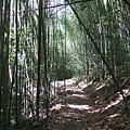 DSCF0906.JPG