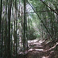 DSCF0907.JPG