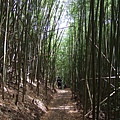 DSCF0908.JPG