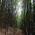 DSCF0909.JPG