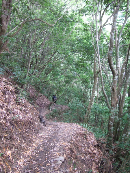 DSCF0910.JPG