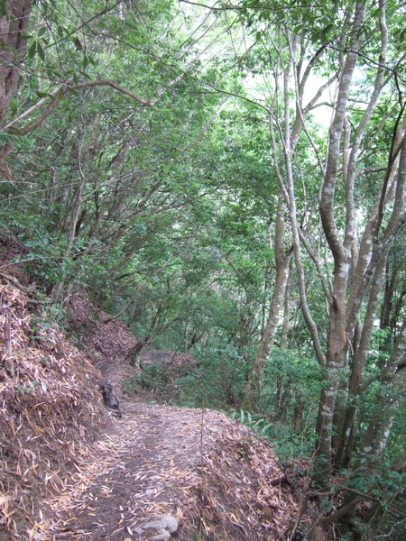 DSCF0911.JPG