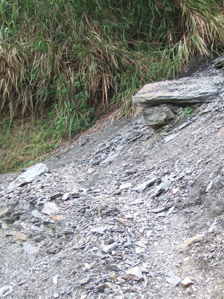 DSCF0915.JPG