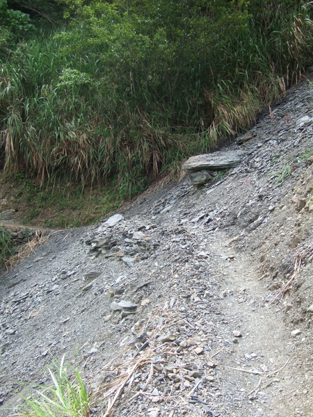 DSCF0917.JPG