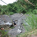 DSCF0918.JPG