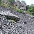 DSCF0924.JPG