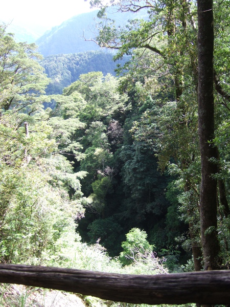 DSCF0935.JPG