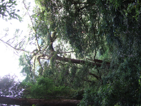 DSCF0936.JPG