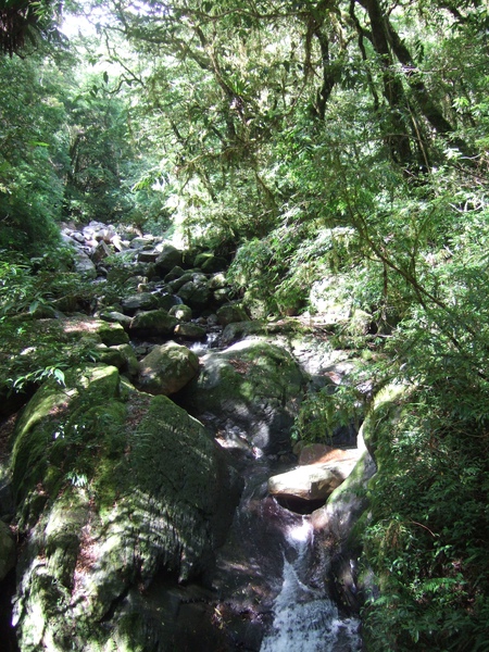 DSCF0944.JPG