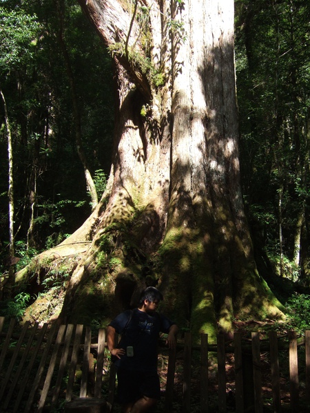 DSCF0946.JPG