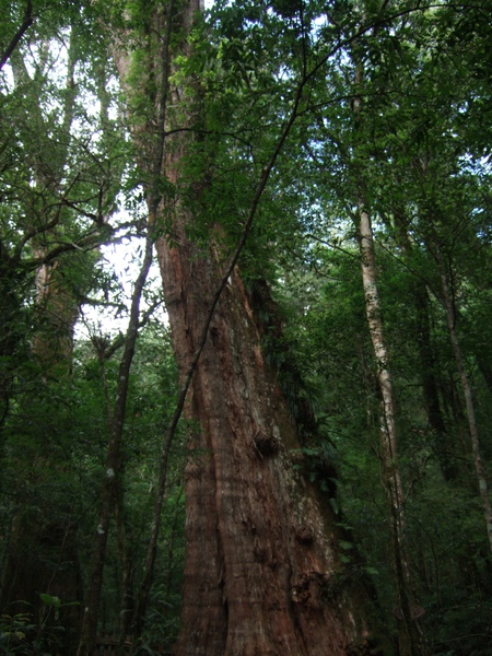 DSCF0957.JPG