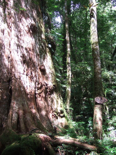DSCF0960.JPG