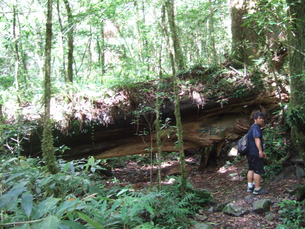 DSCF0962.JPG