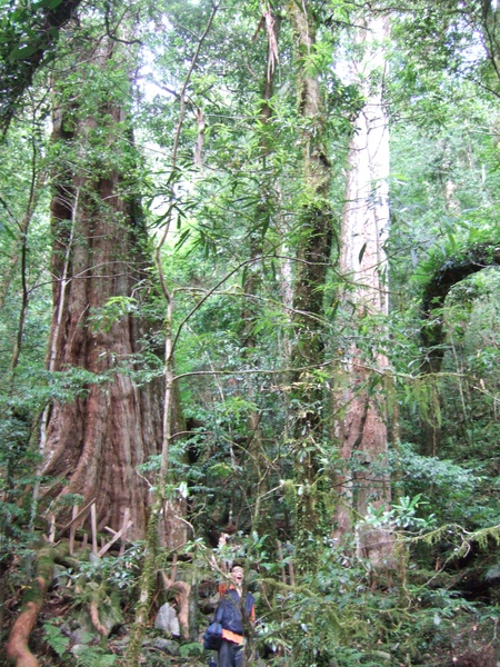 DSCF0966.JPG