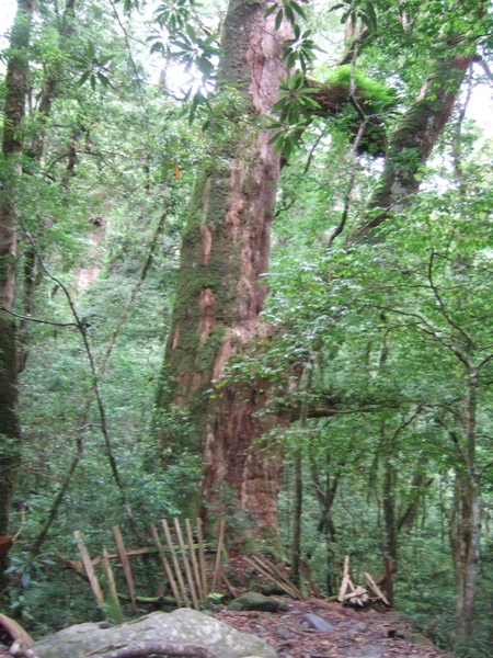 DSCF0983.JPG