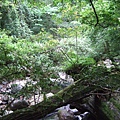 DSCF0990.JPG