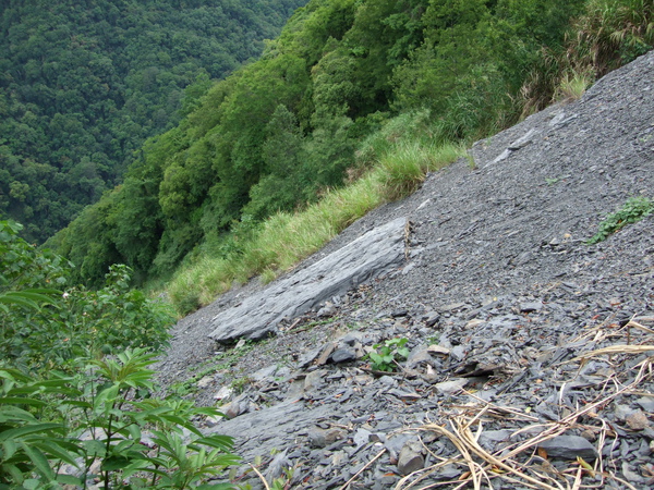 DSCF4088.jpg