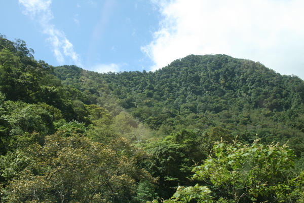IMG_0016.JPG