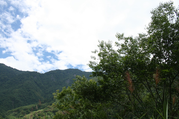 IMG_0070.JPG