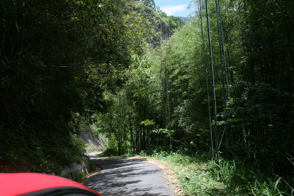 IMG_0071.JPG