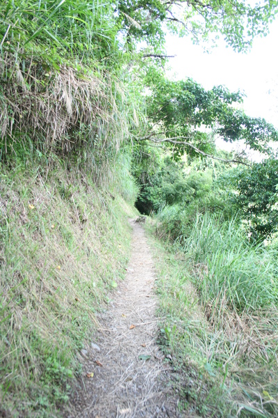 IMG_0136.JPG