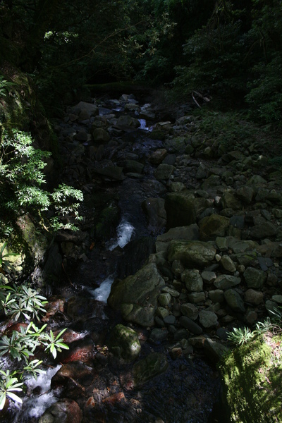 IMG_0161.JPG