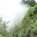 IMG_0247.JPG