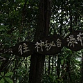 IMG_0251.JPG
