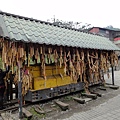 DSC00028.JPG