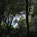 DSC00039.JPG