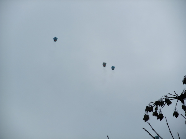 DSCF3078.JPG
