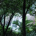 DSCF3087.JPG