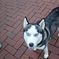 DSCF3091.JPG