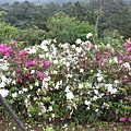IMG_0214.JPG