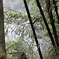 IMG_0251.JPG