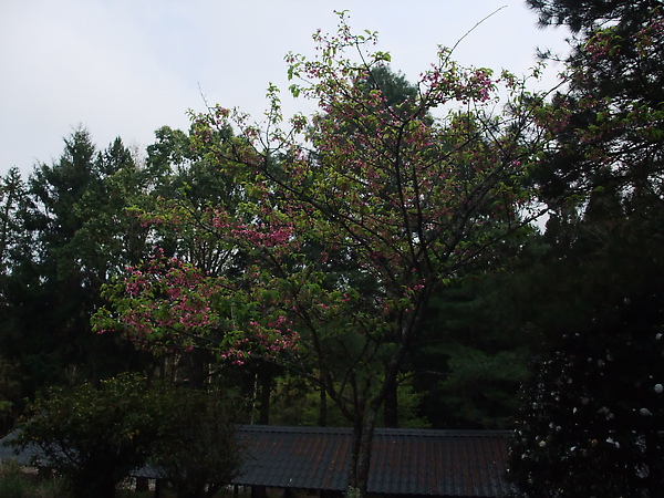 DSCF3145.JPG