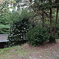 DSCF3146.JPG
