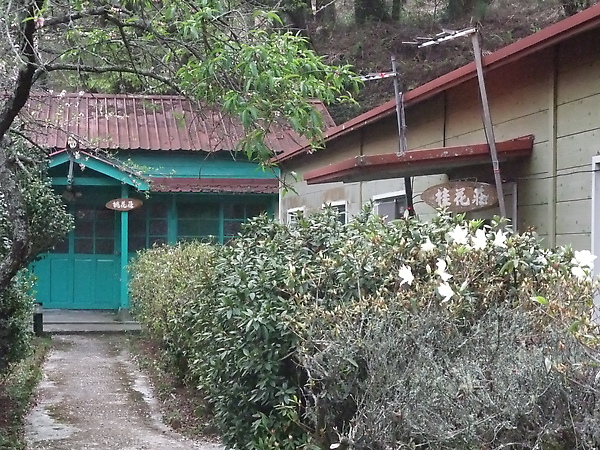 DSCF3154.JPG