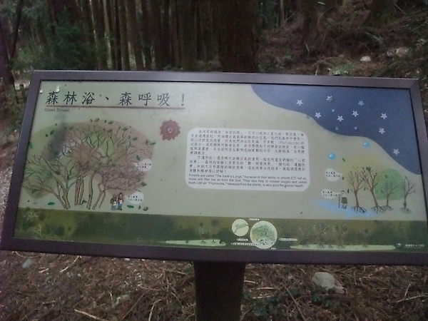 DSCF3161.JPG
