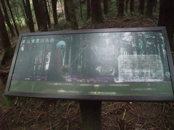 DSCF3163.JPG
