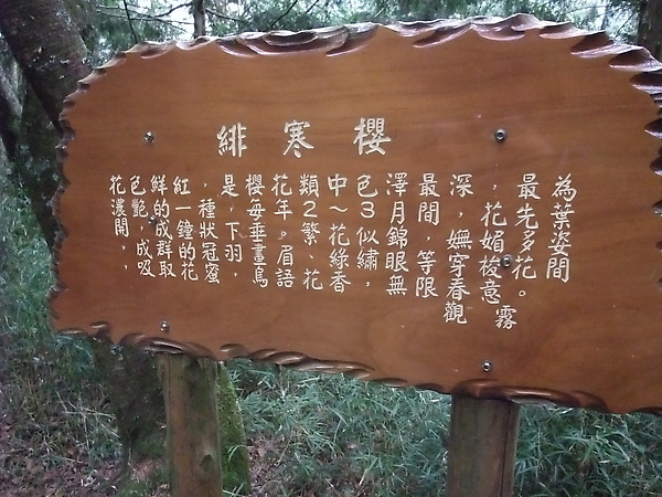 DSCF3164.JPG