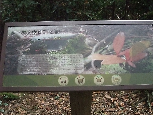 DSCF3165.JPG