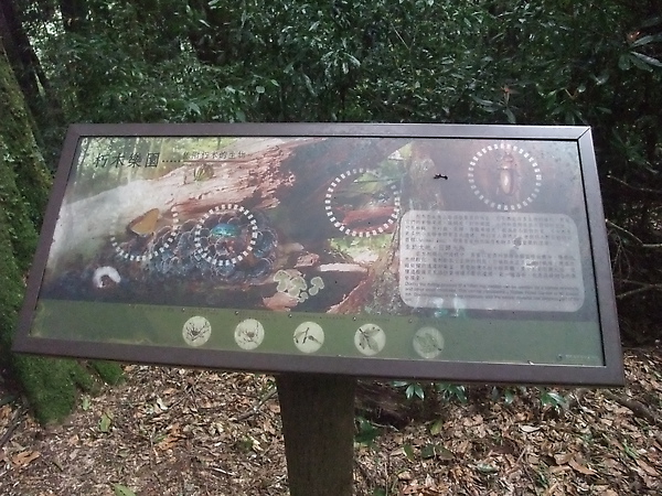 DSCF3166.JPG
