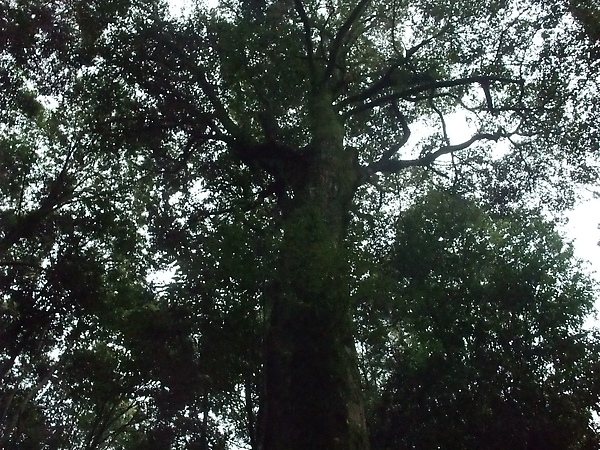 DSCF3167.JPG