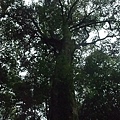 DSCF3167.JPG