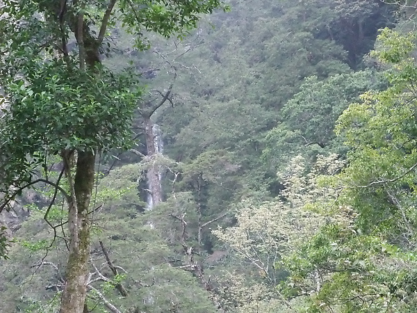 DSCF3168.JPG